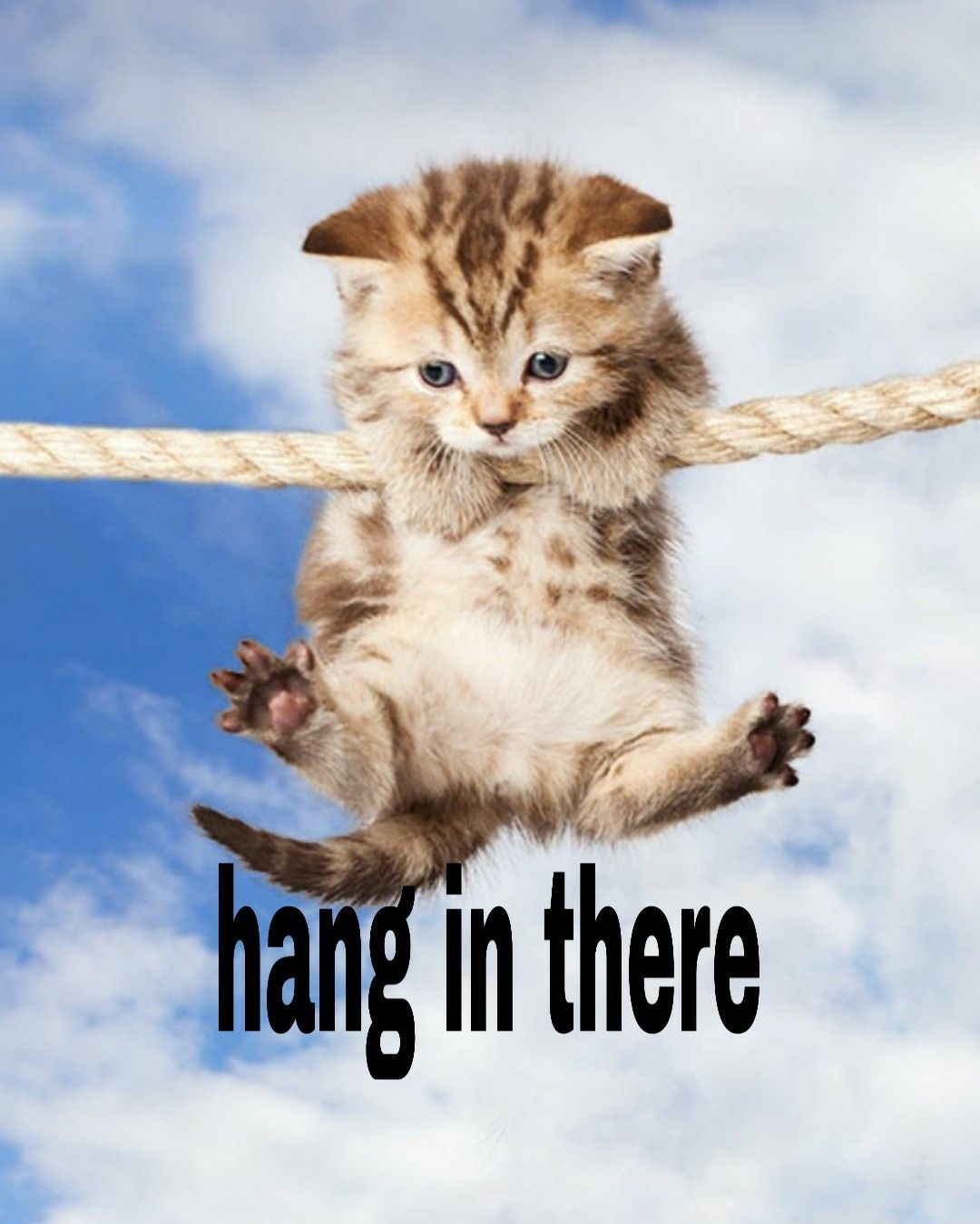 hang in there.png